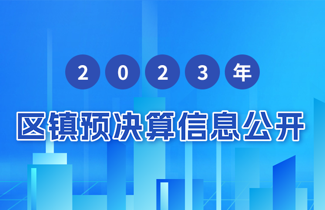 2023年区镇预决算信息公开